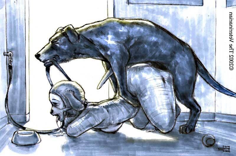 Pets