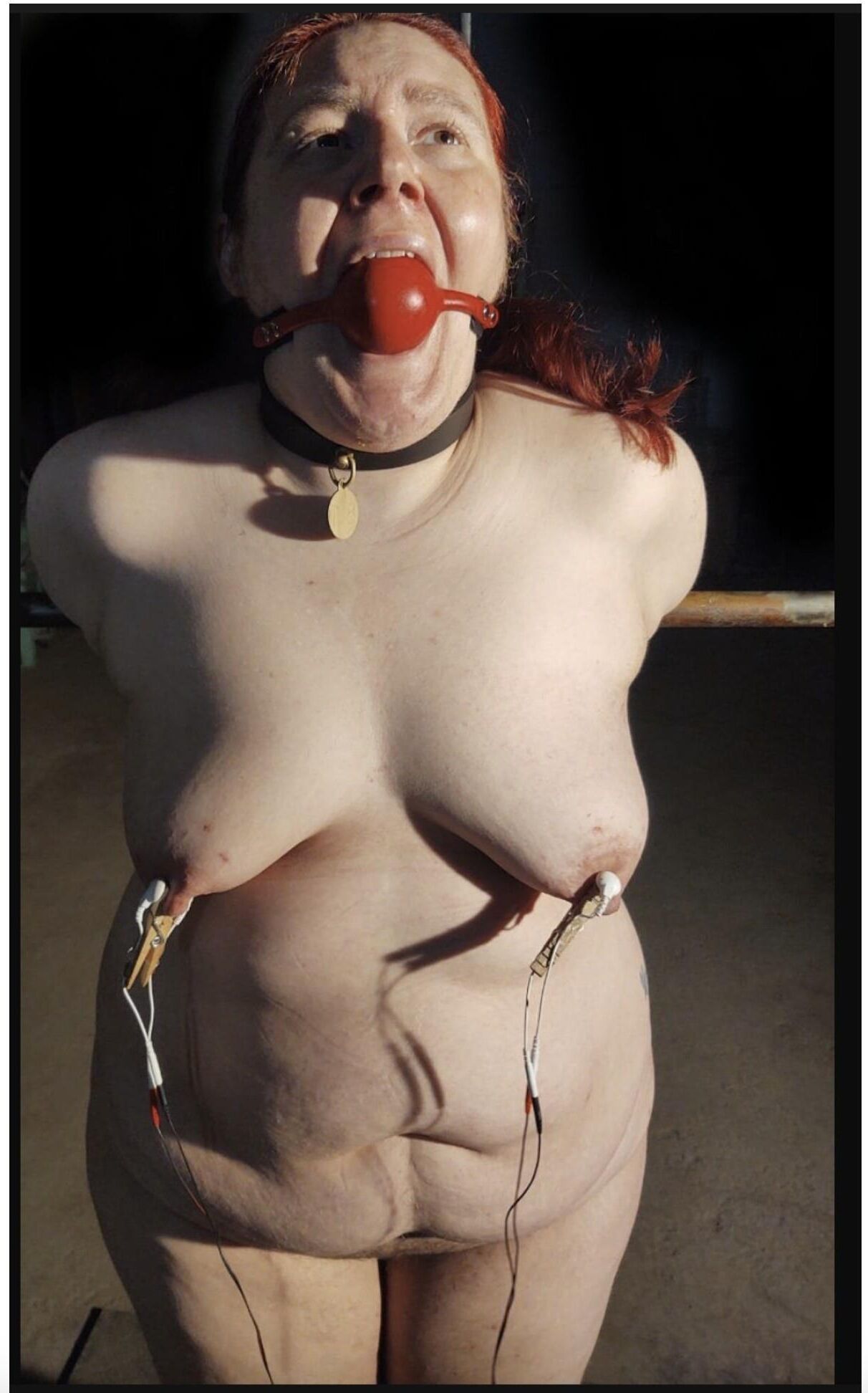 Bodacious Ballgags Vol. 