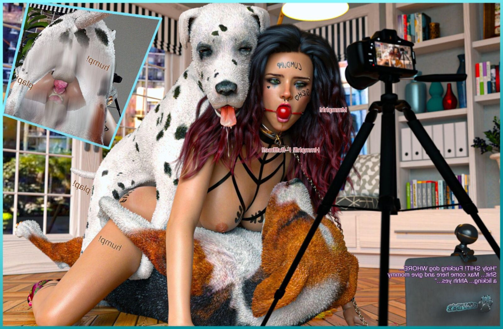Pets