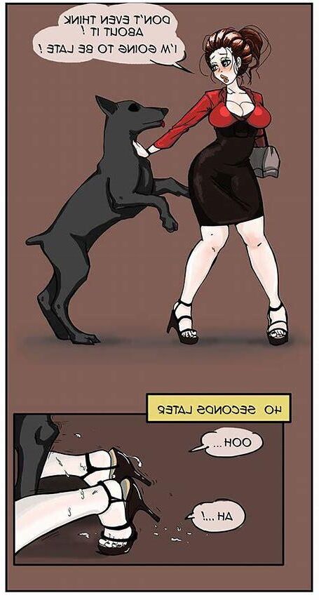 Pets