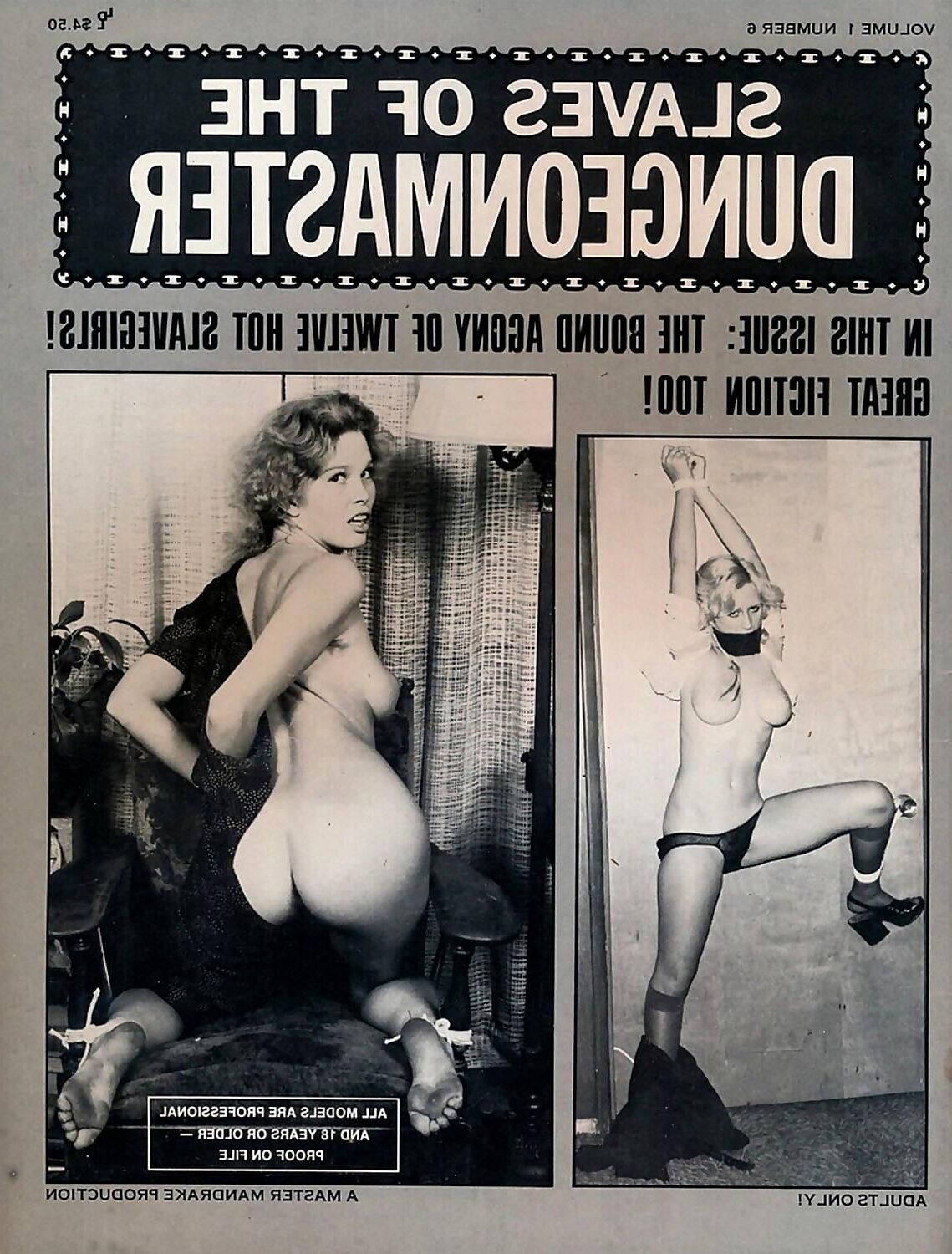 Couvertures de magazines de bondage assorties