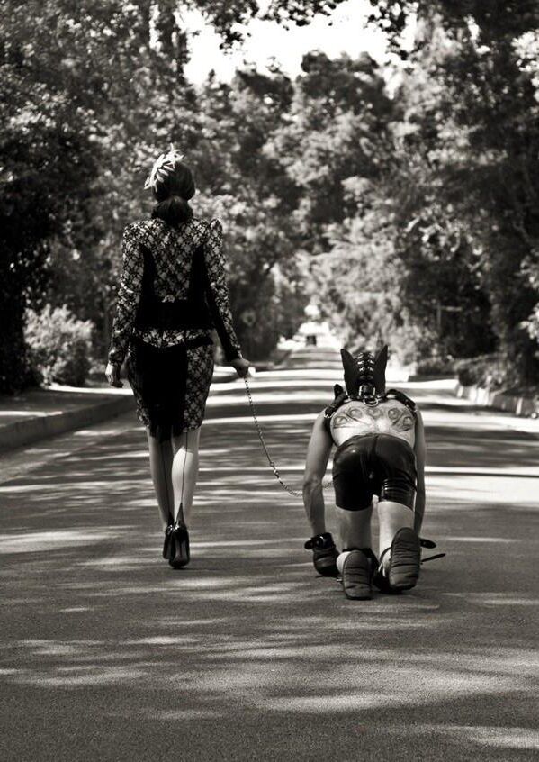 Discipline canis
