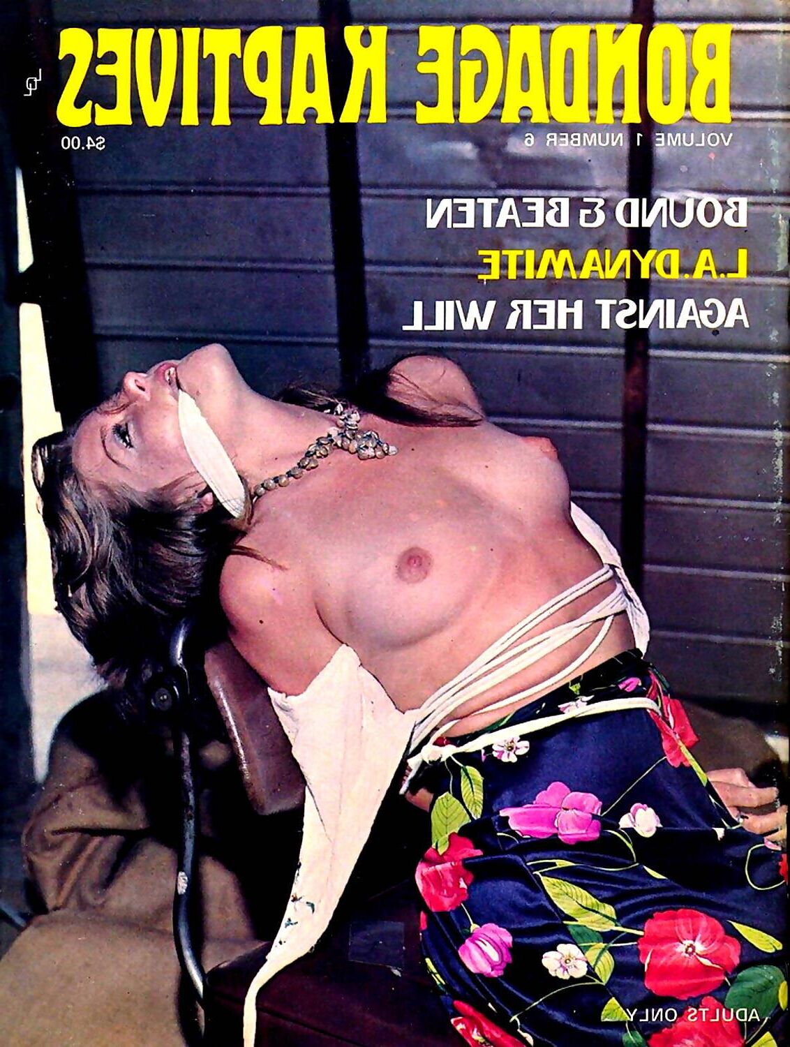 Couvertures de magazines de bondage assorties