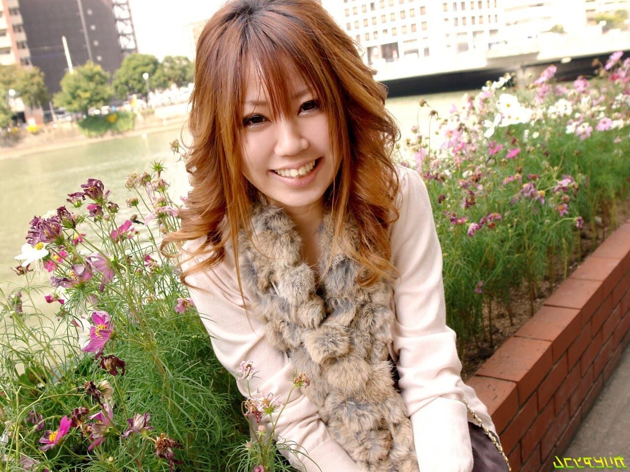 日本、セックスパラダイス