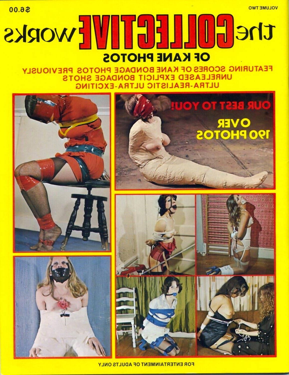 Couvertures de magazines de bondage assorties