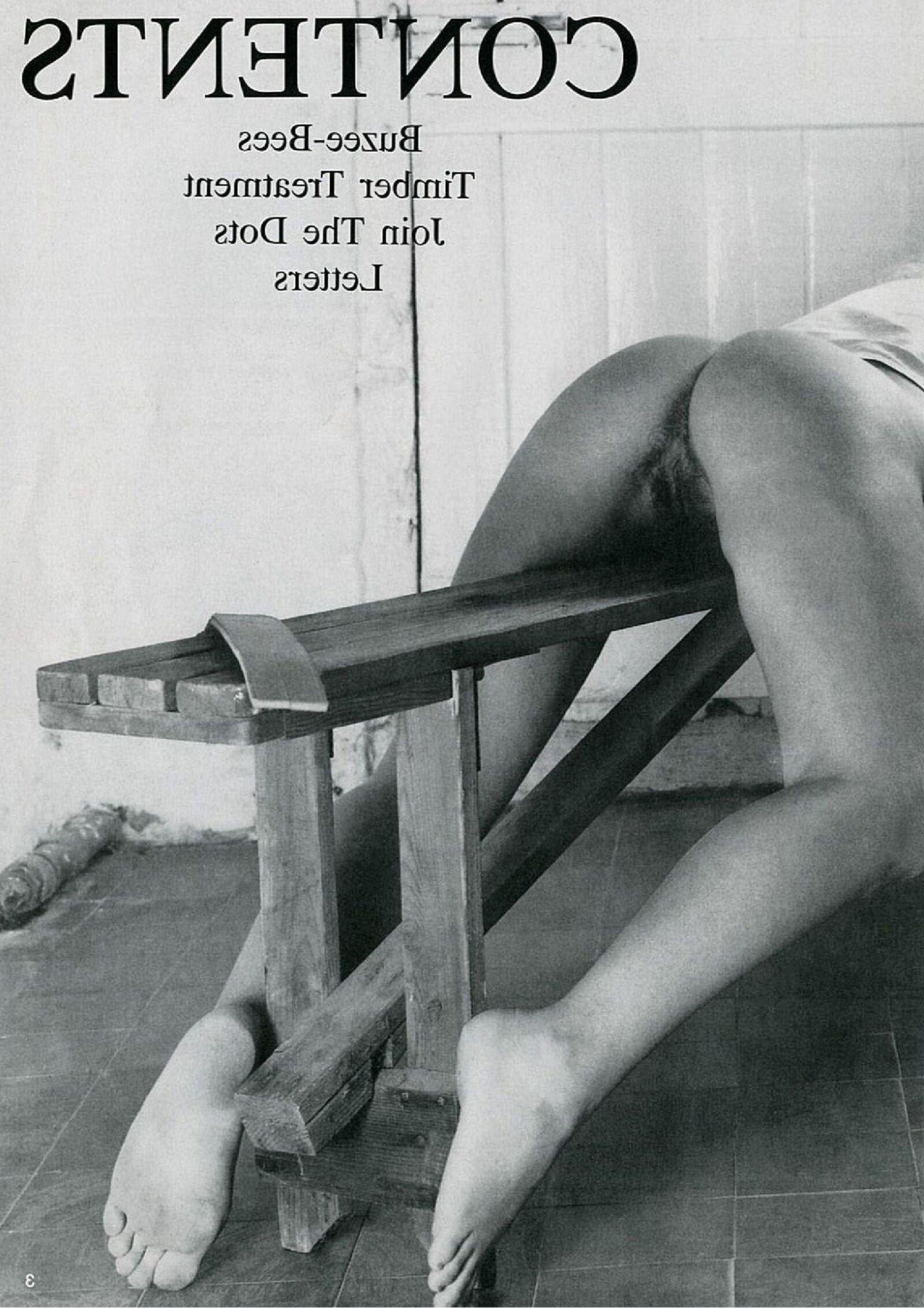 Retro Spanking Blushes Suplement Issue completo