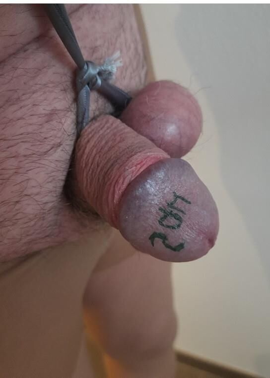 CBT