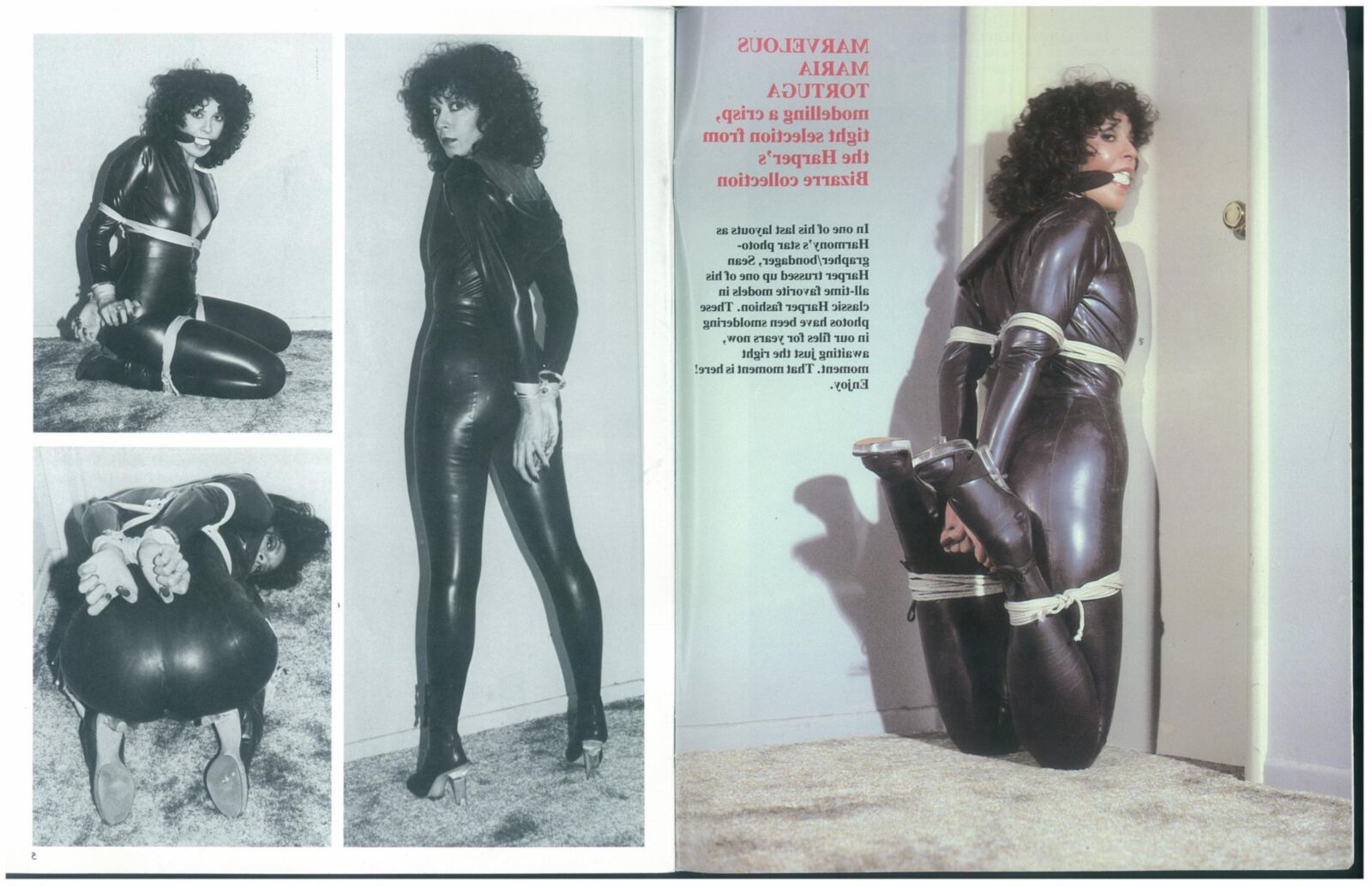 Bondage Photo Treasures NO () [Magazin -Scan]