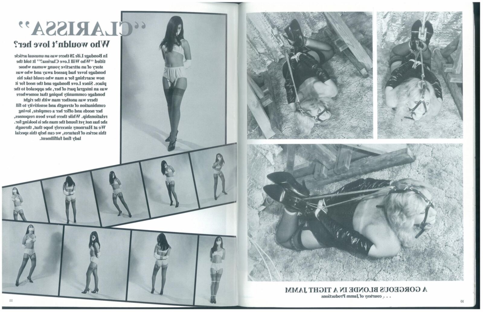 Bondage Photo Treasures NO () [Magazin -Scan]