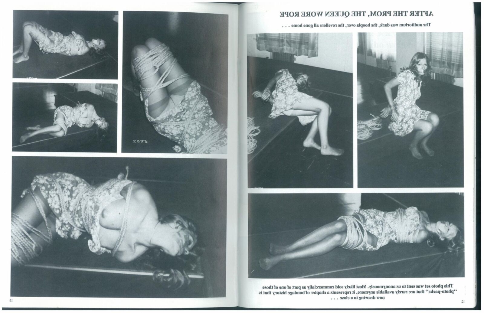 Bondage Photo Treasures NO () [Magazin -Scan]