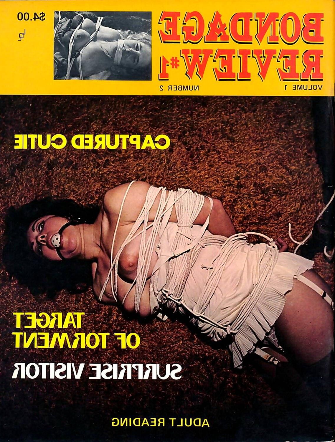 Sortiertes Bondage Magazine Covers