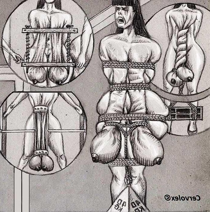 Dessins SM
