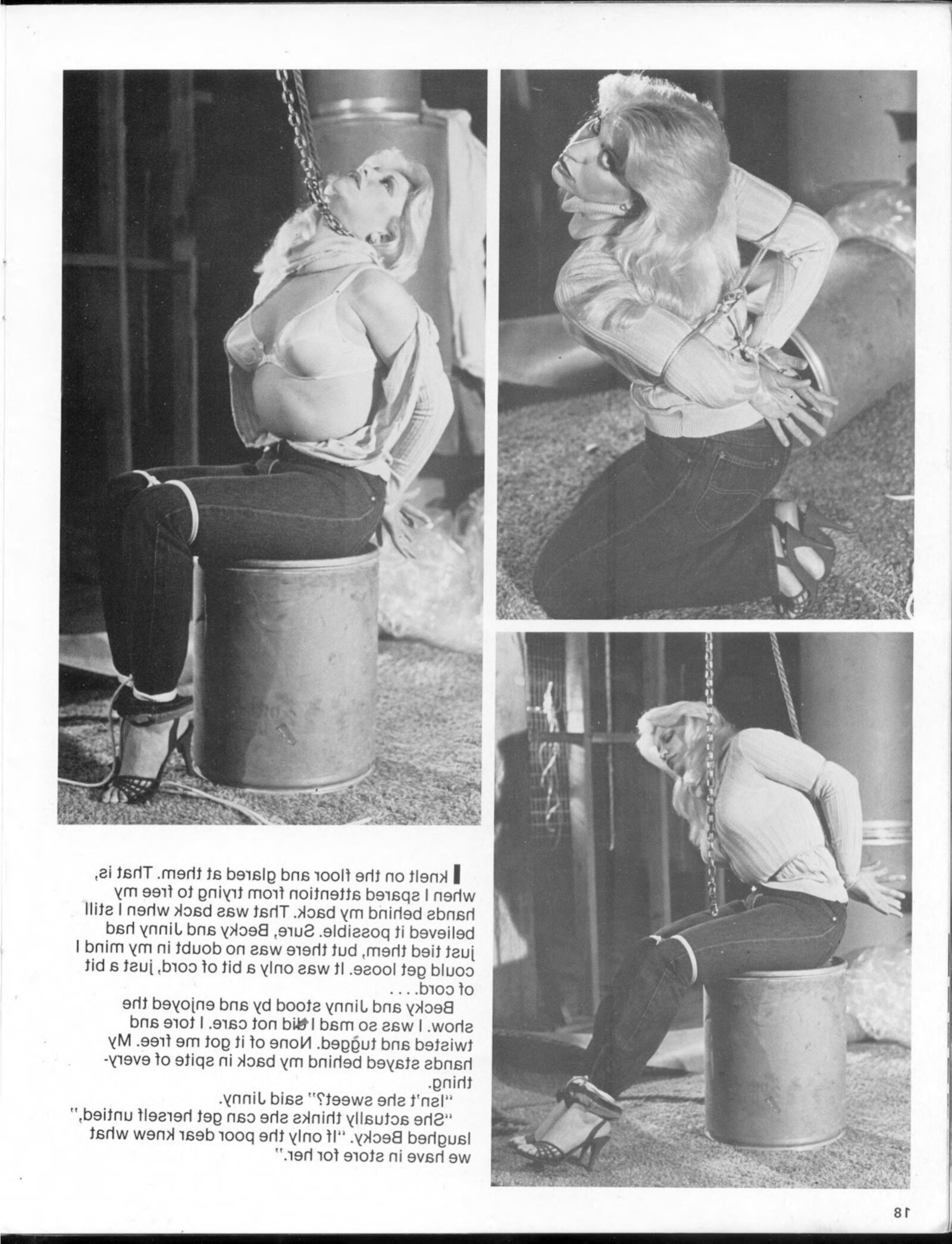 Breast Bondage volume no () (magazine scan)