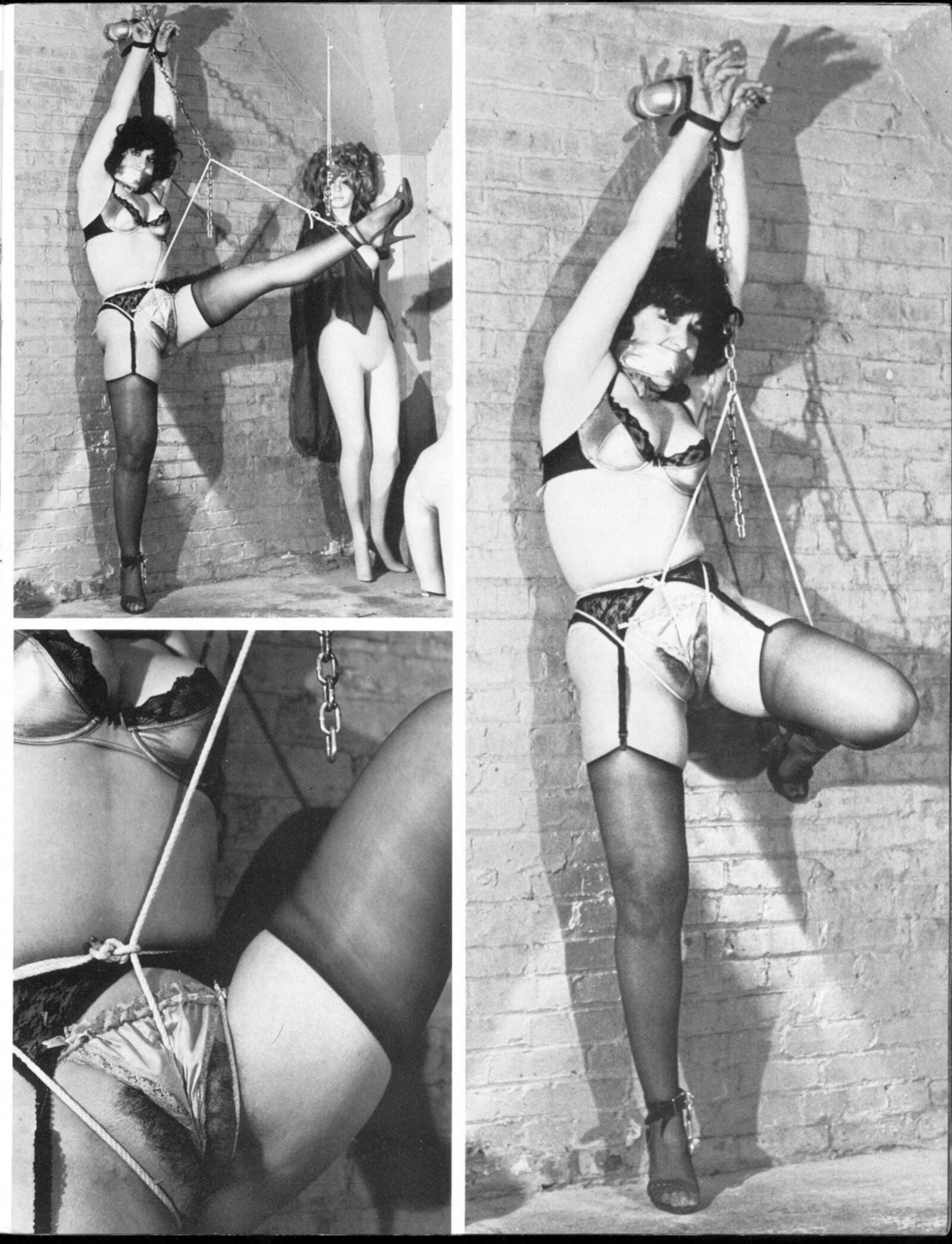 Breast Bondage volume no () (magazine scan)