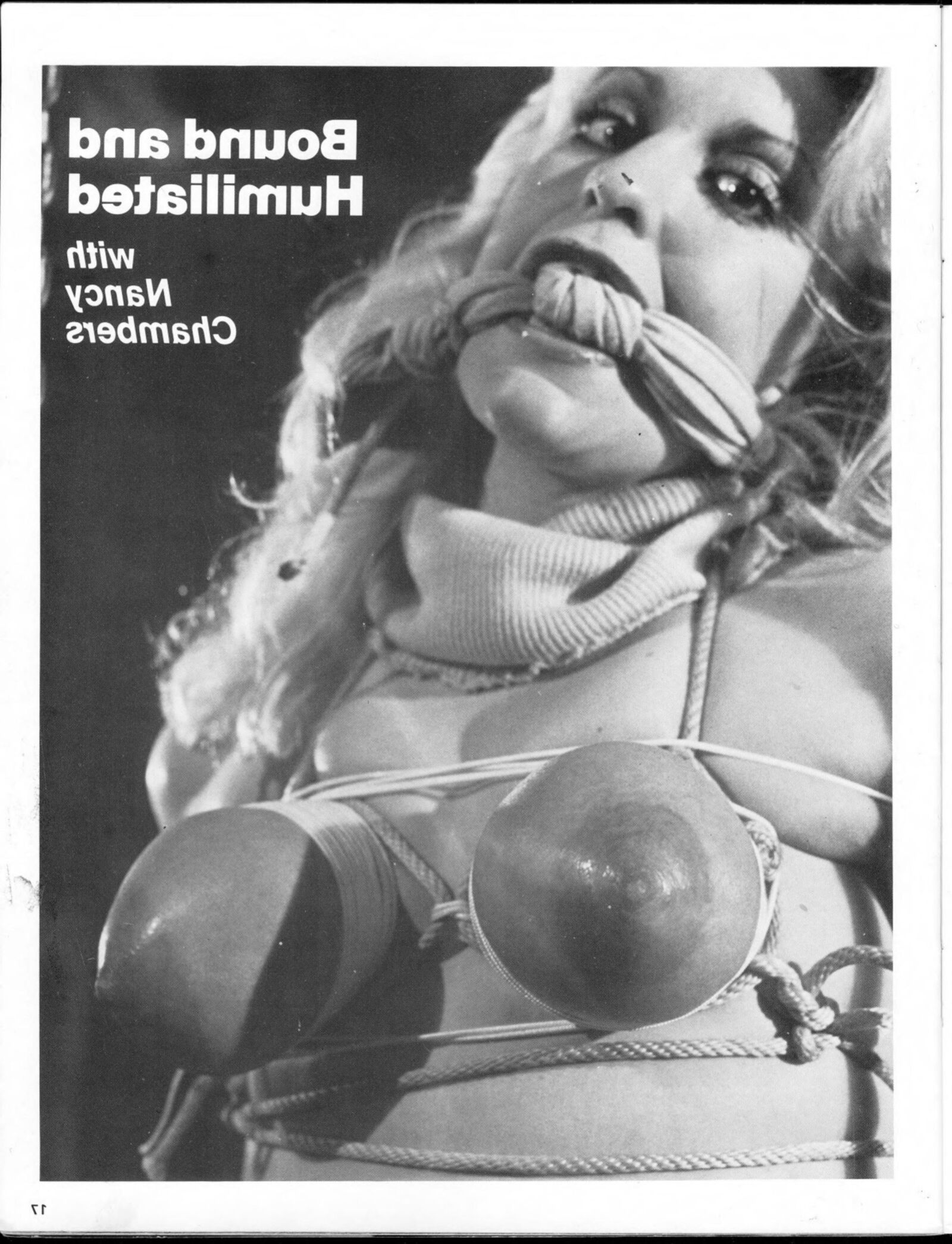 Breast Bondage volume no () (magazine scan)