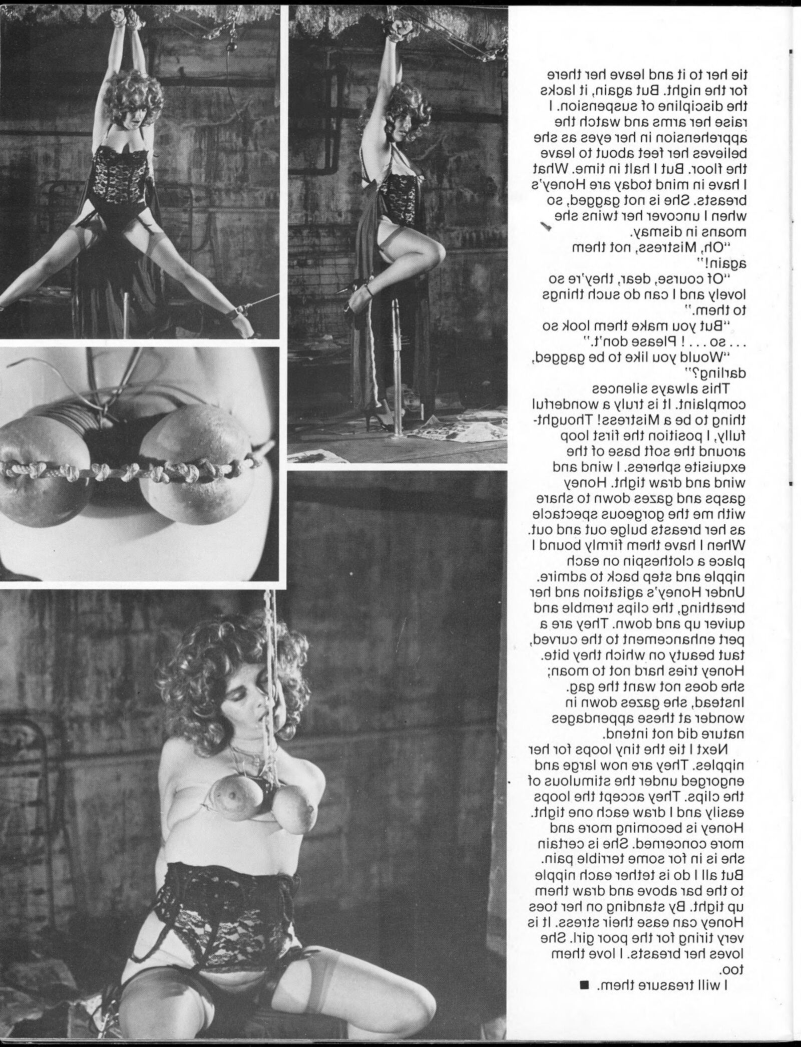 Breast Bondage volume no () (magazine scan)