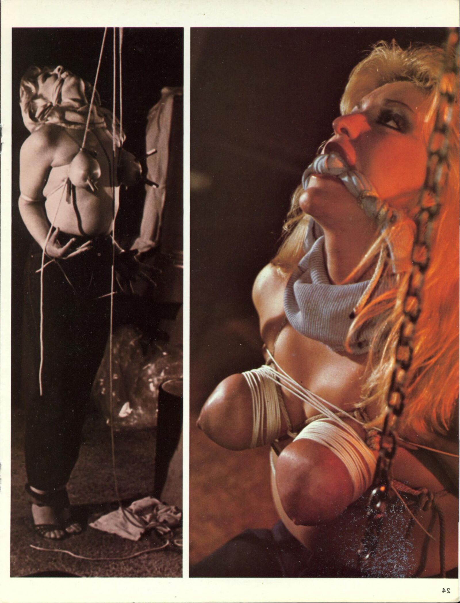 Breast Bondage volume no () (magazine scan)