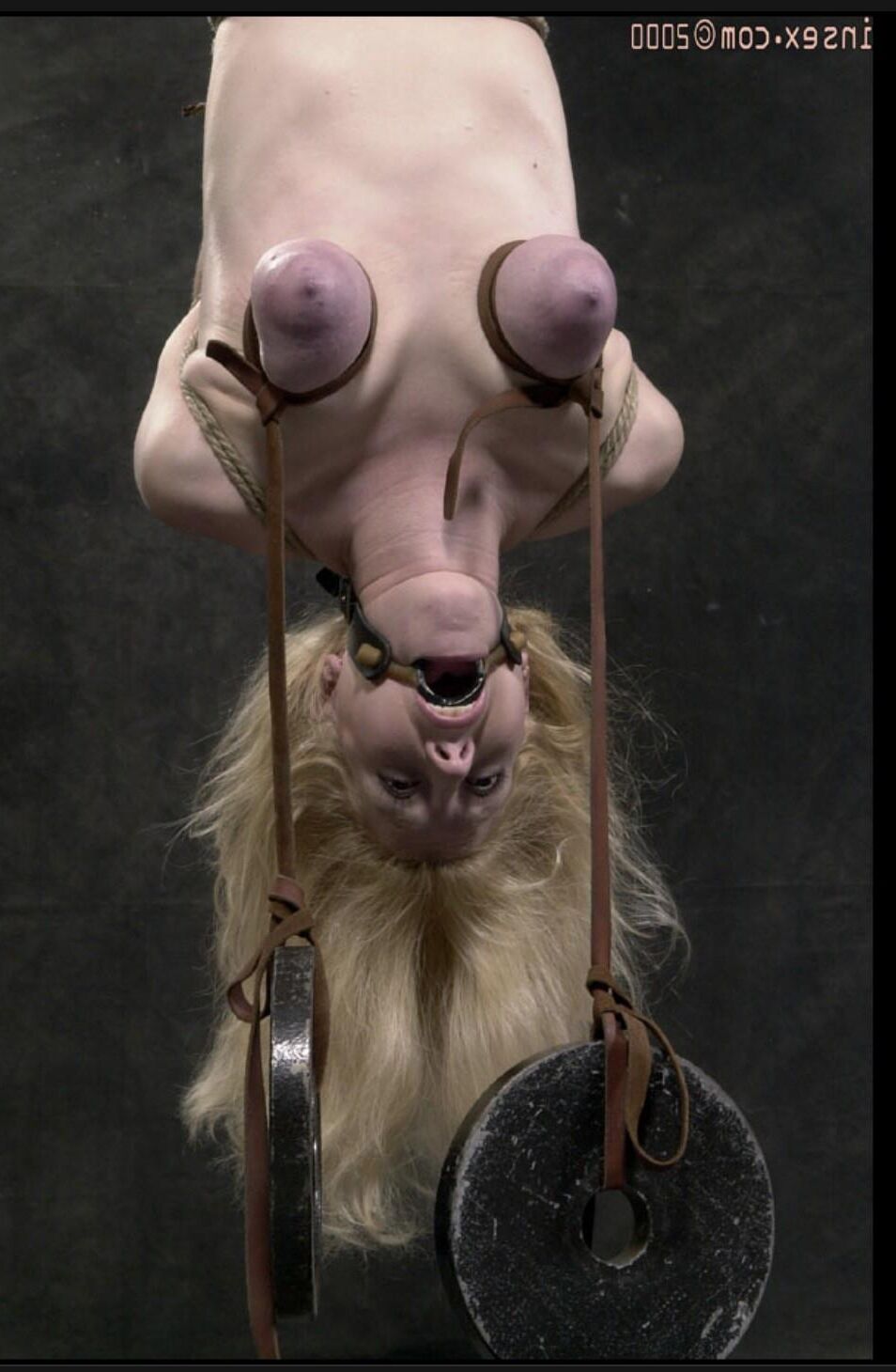 Salace Slavegirls Vol.