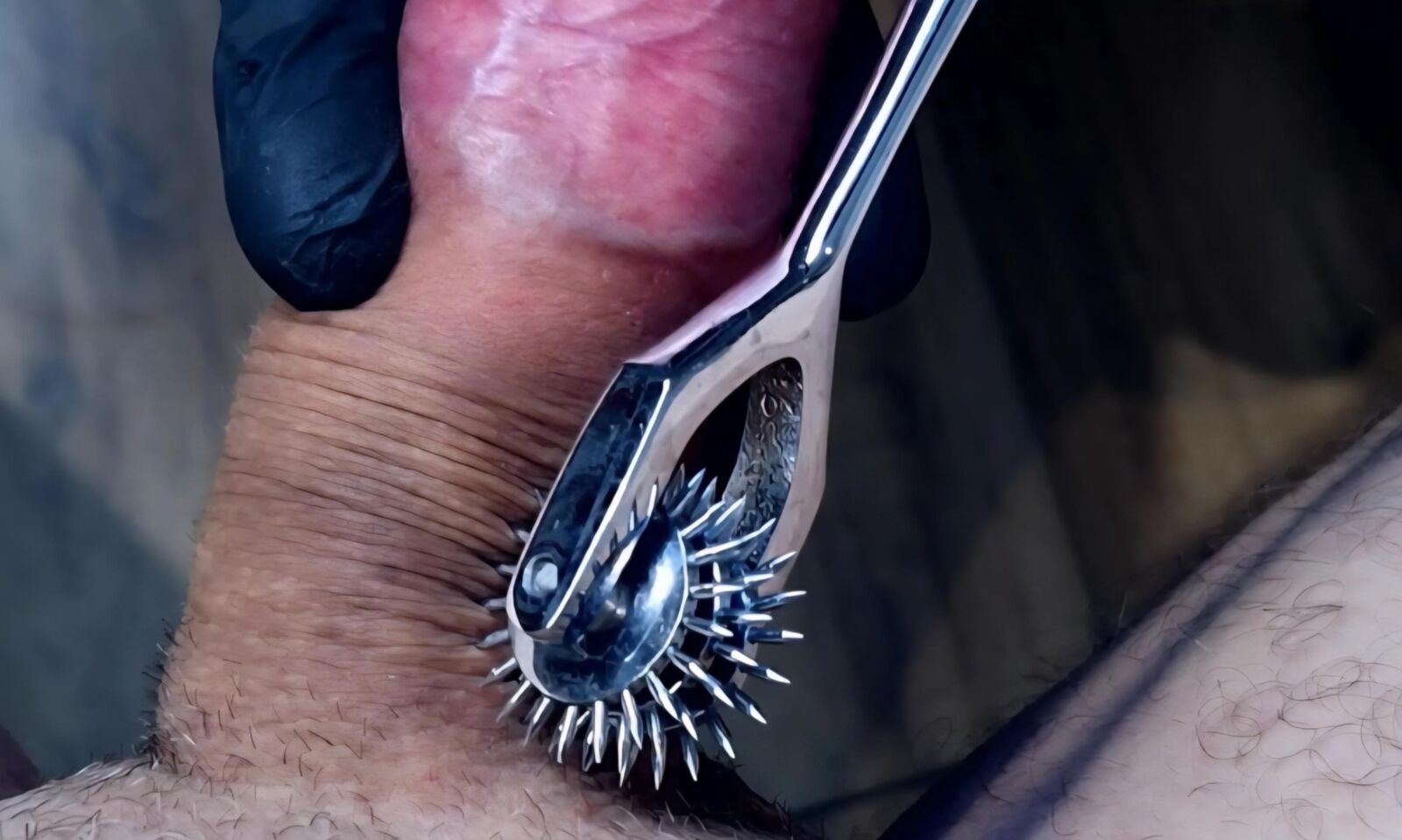 Je baise sa bite