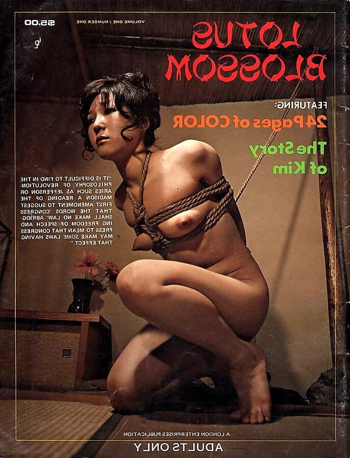 Sortiertes Bondage Magazine Covers