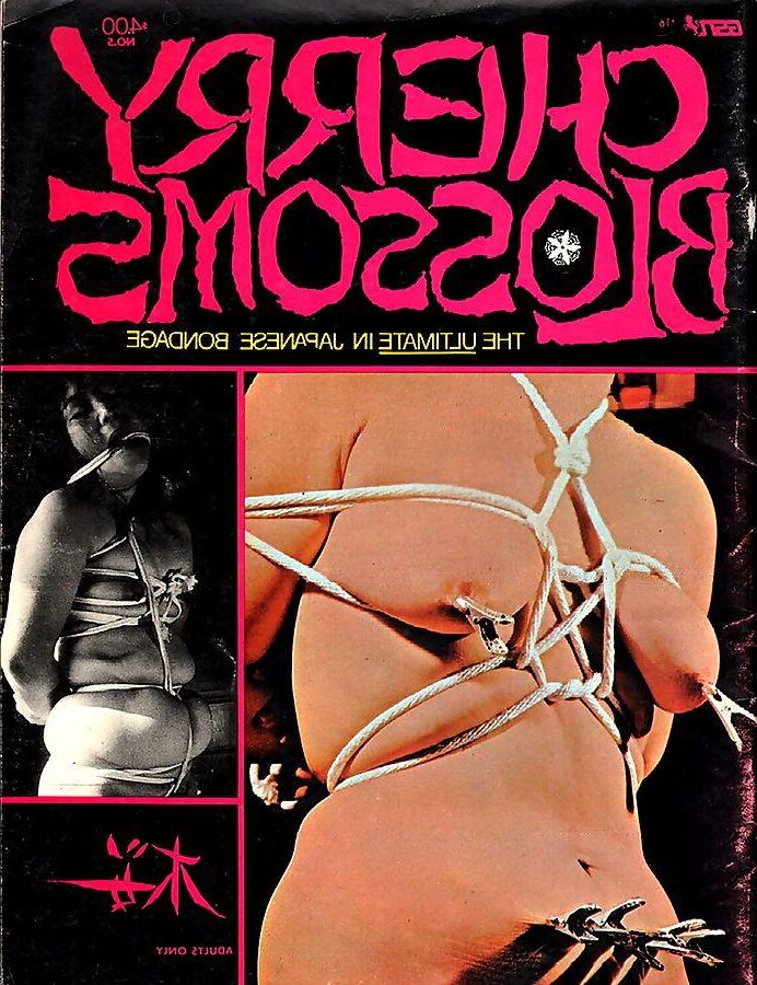 Sortiertes Bondage Magazine Covers