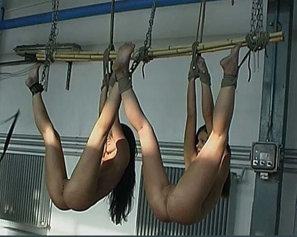BDSM 