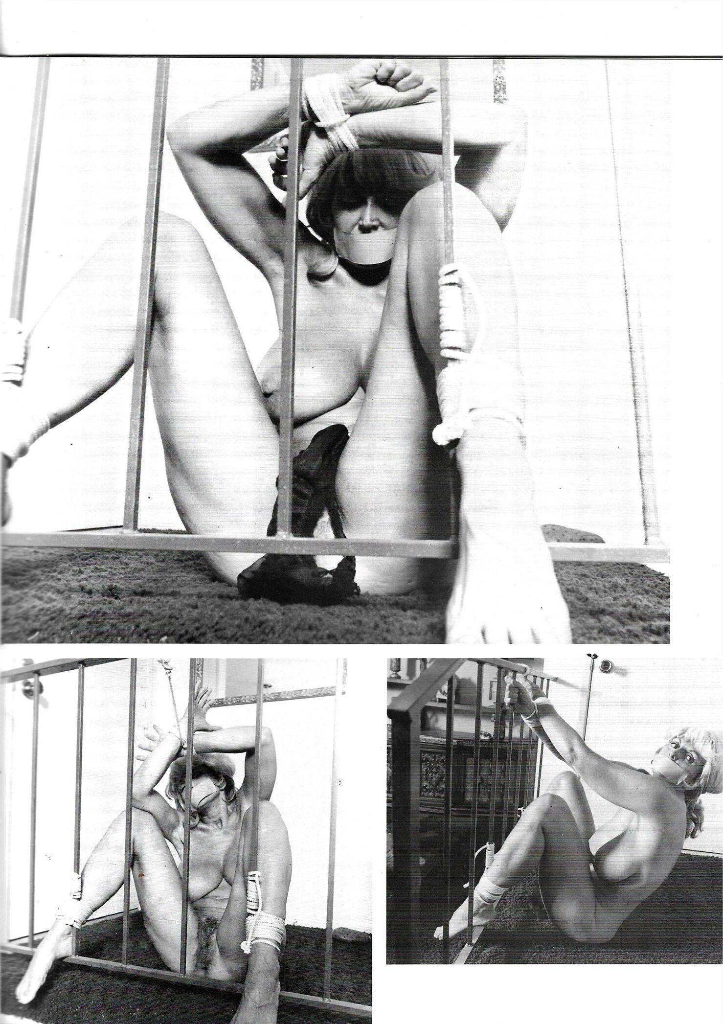 Big Tits In Bondage 