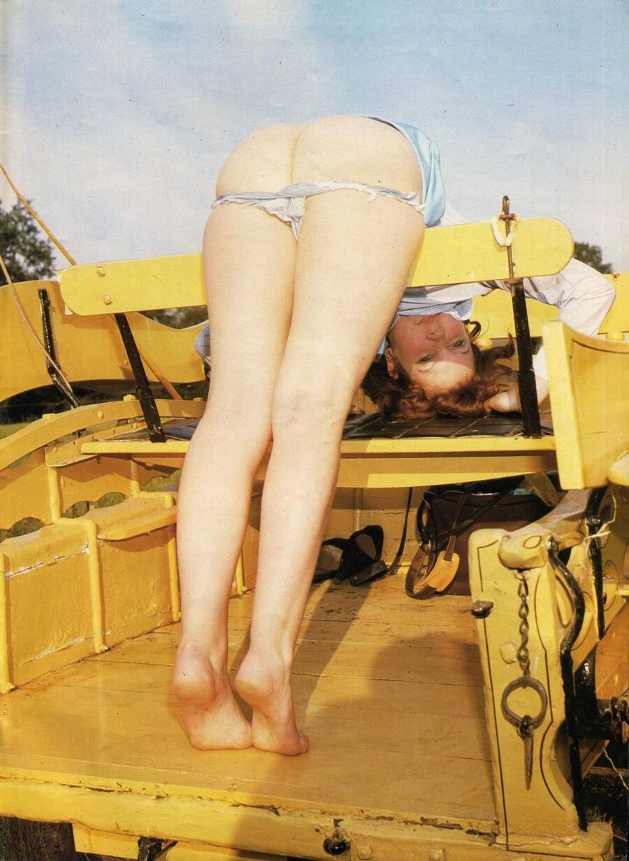 Retro Spanking Roue (complete)