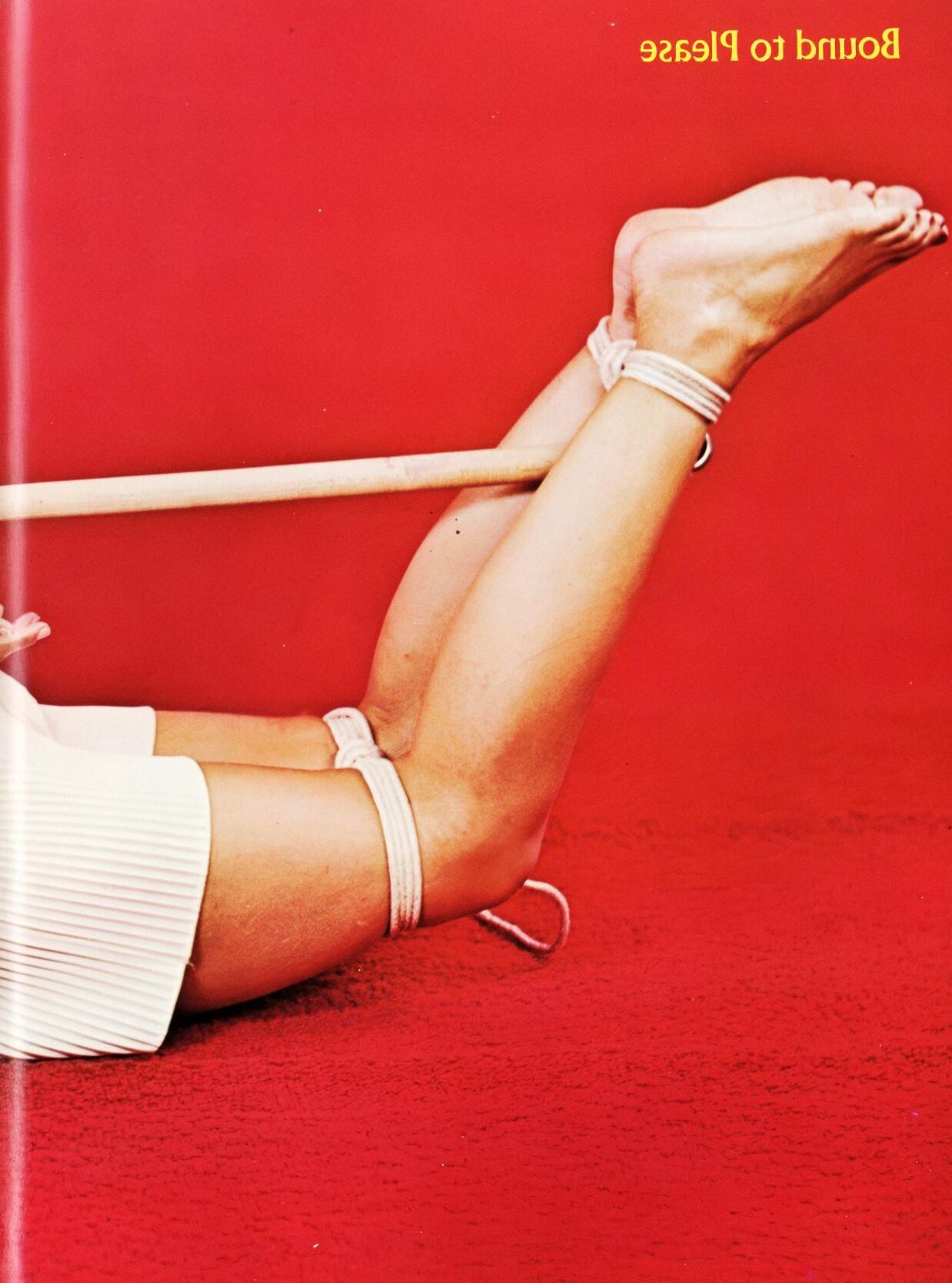 Bound To Please Volume Number ()