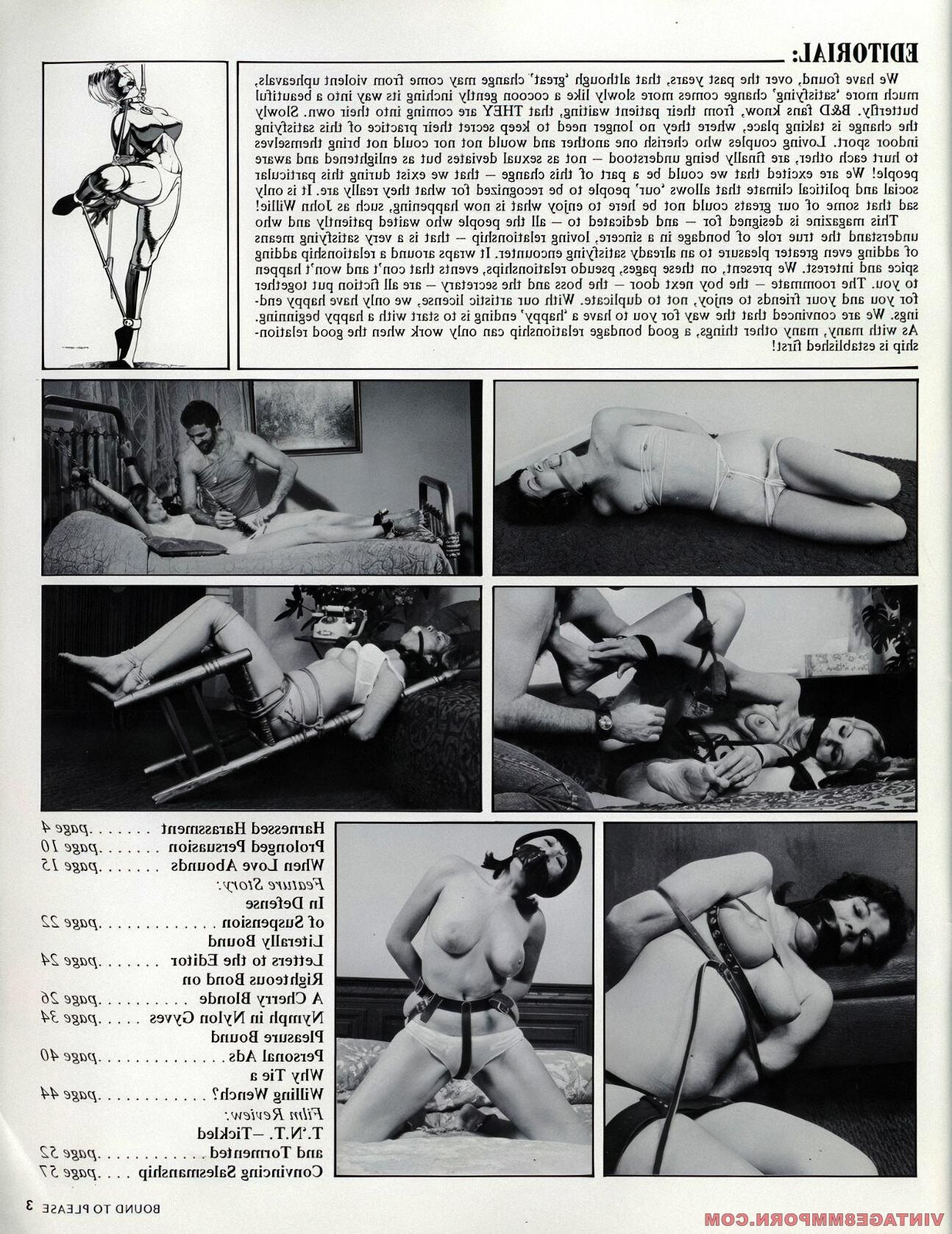Bound To Please Volume Number ()