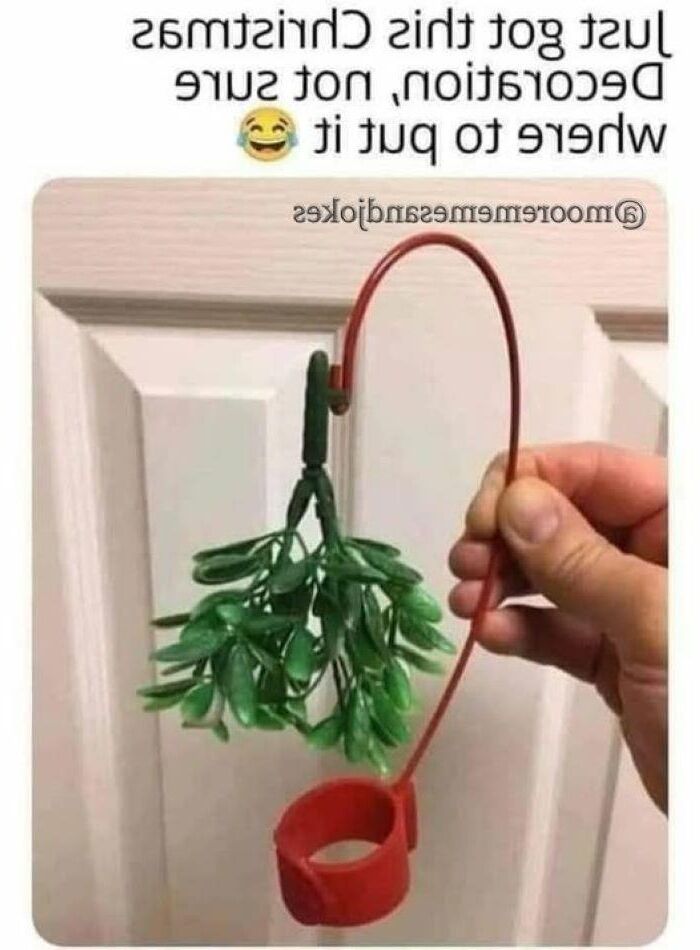 Xmasochism christmas bondage 
