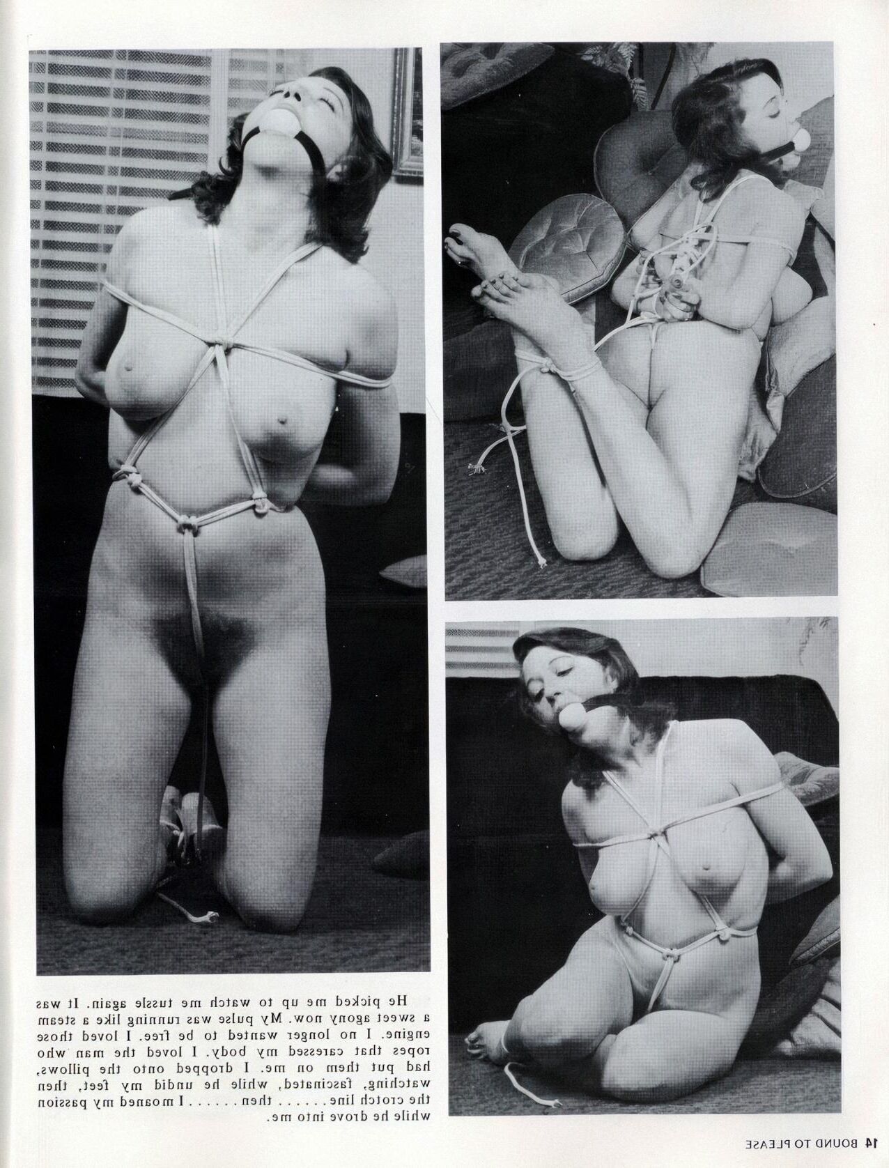 Bound To Please Volume Number ()