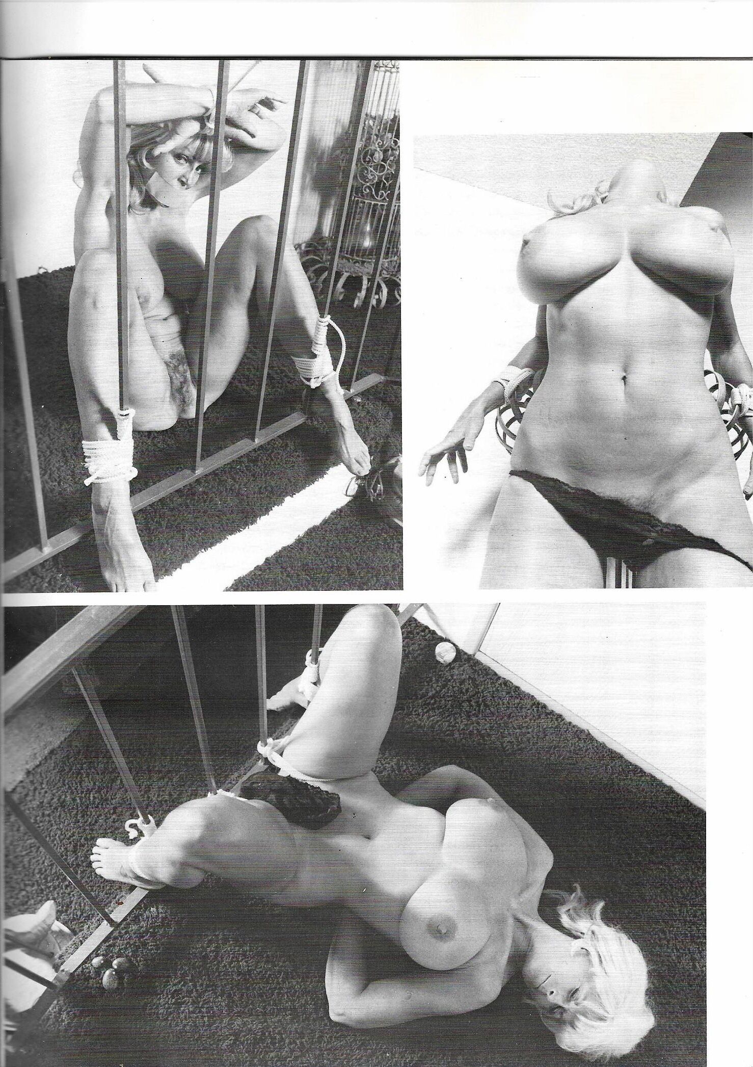 Big Tits In Bondage 