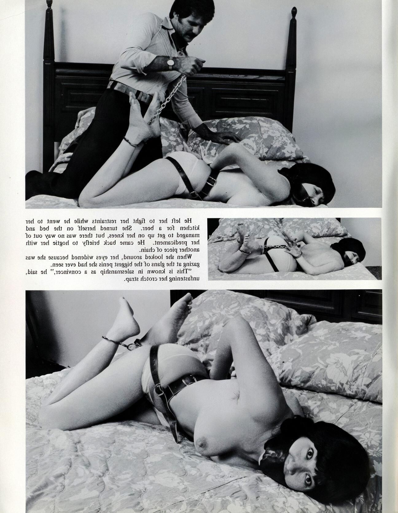 Bound To Please Volume Number ()