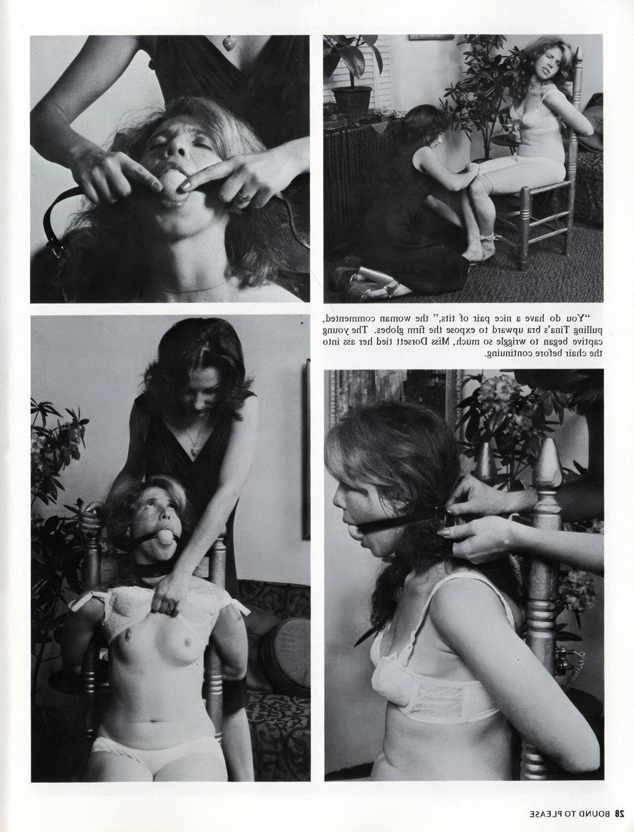 Bound To Please Volume Number ()