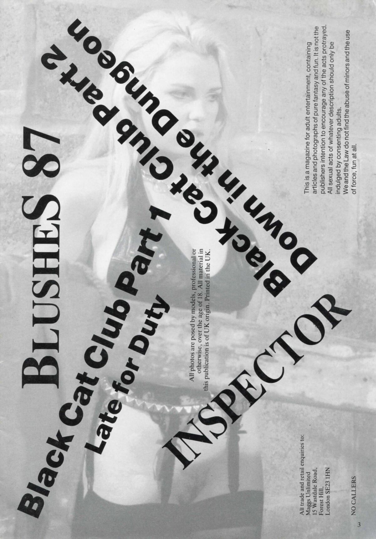 Retro Spanking Blushes issue complete