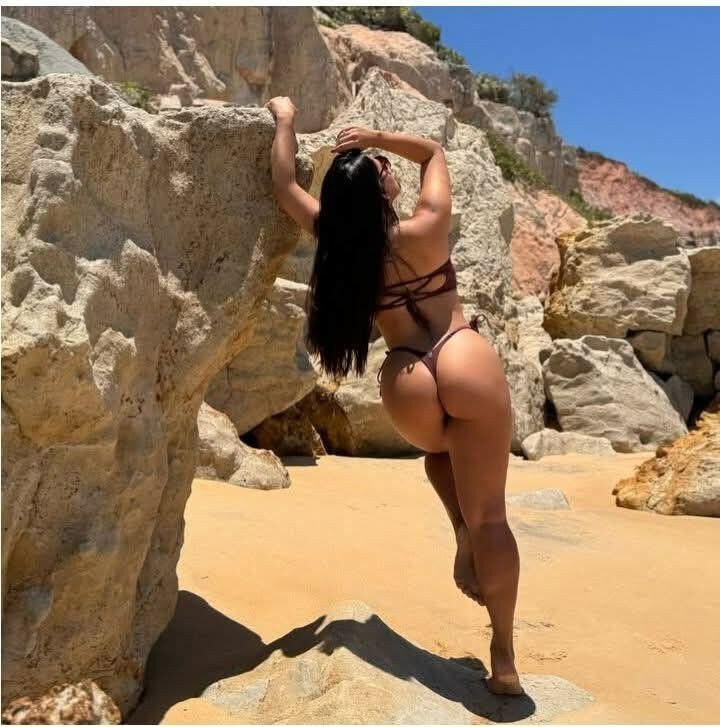 美しい景色