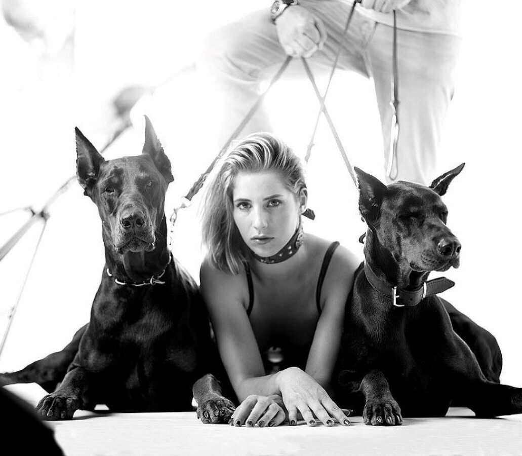 Trained pets 