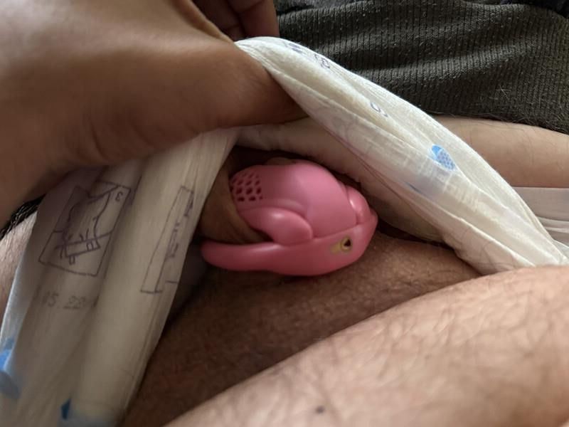 fralda e castidade