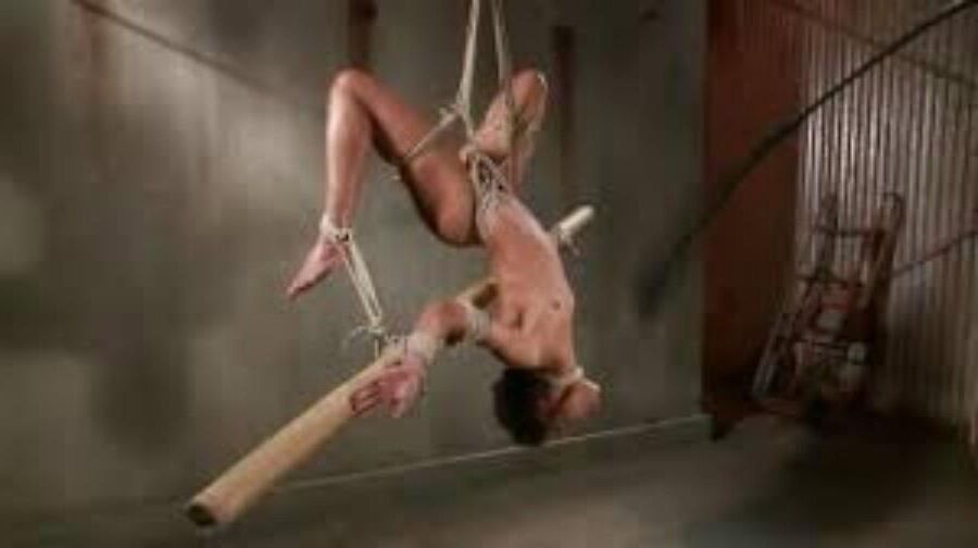 Nikki Steele  Bondage Model