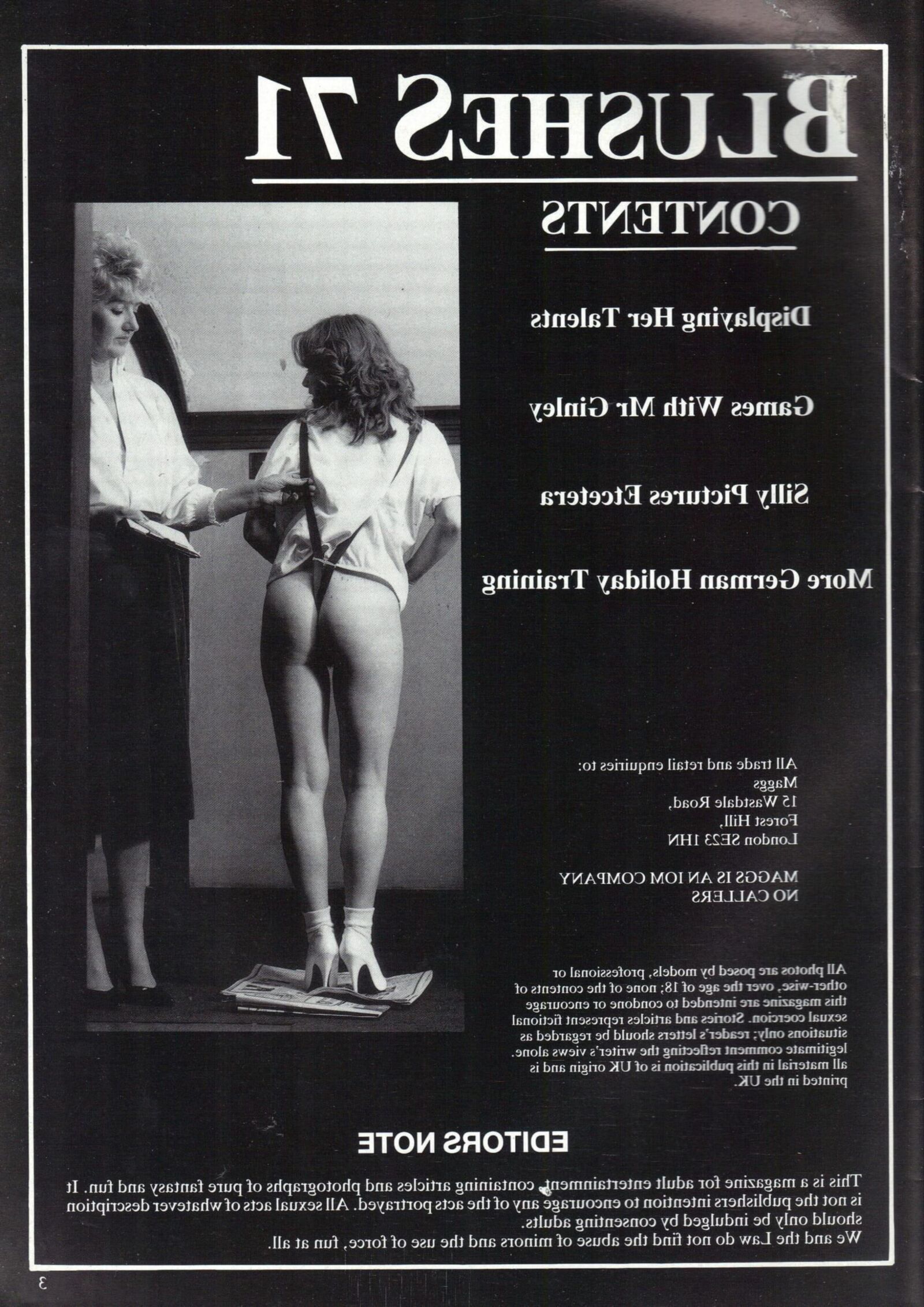 Retro Spanking Blushes issue complete