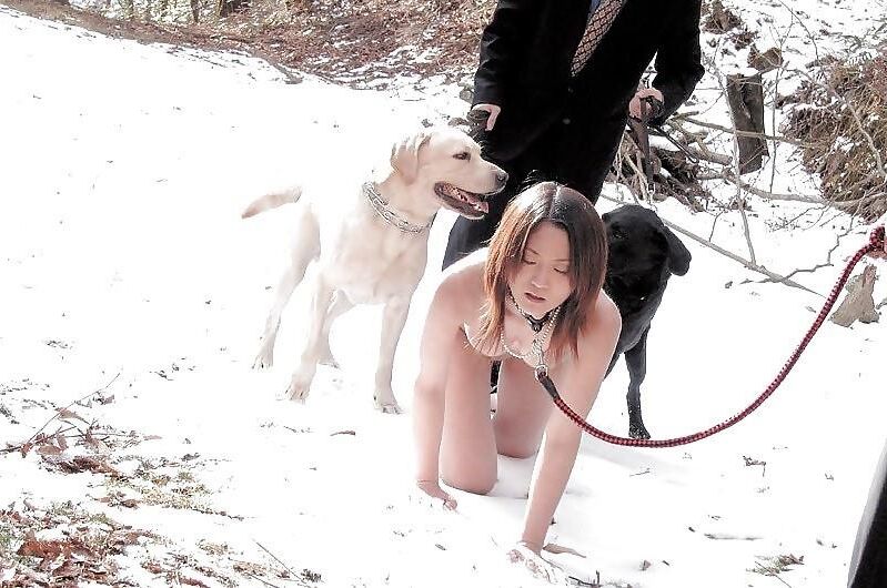 She is on a dog leash.