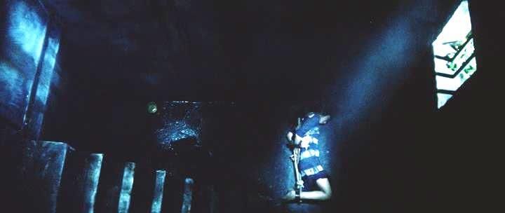 Stills 