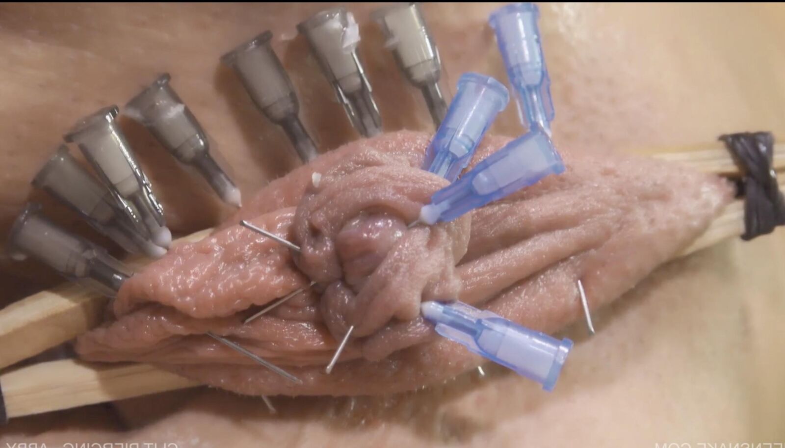 BDSM PICS