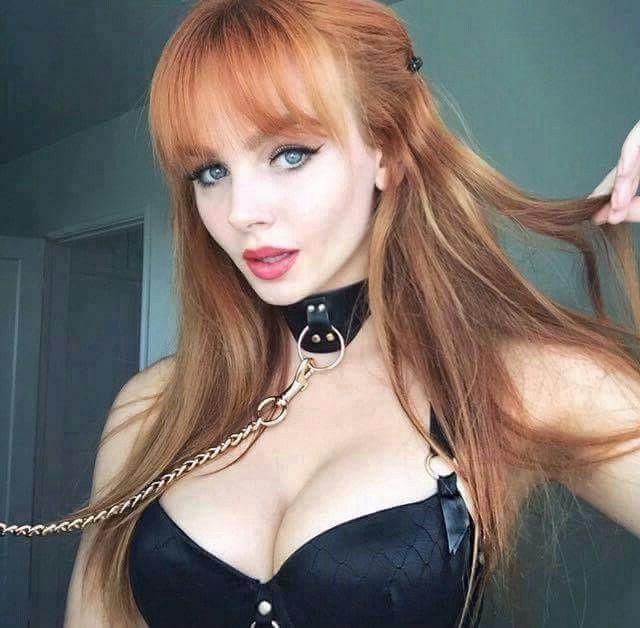 Collared sluts