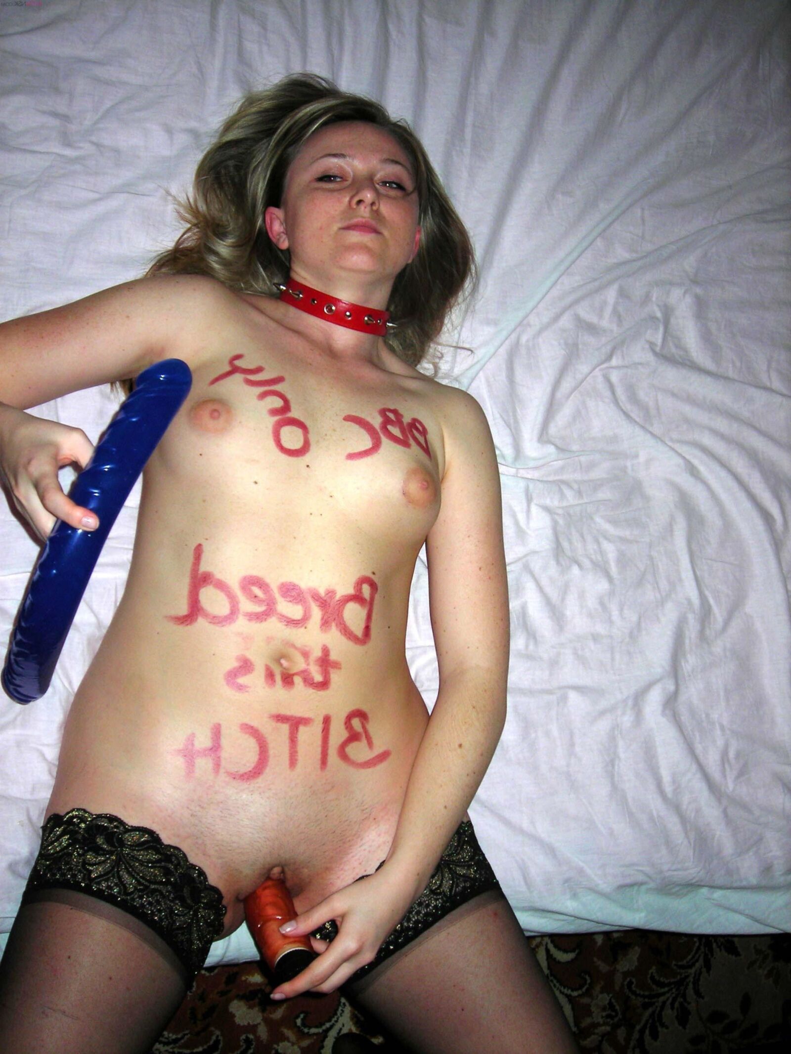Collared sluts 