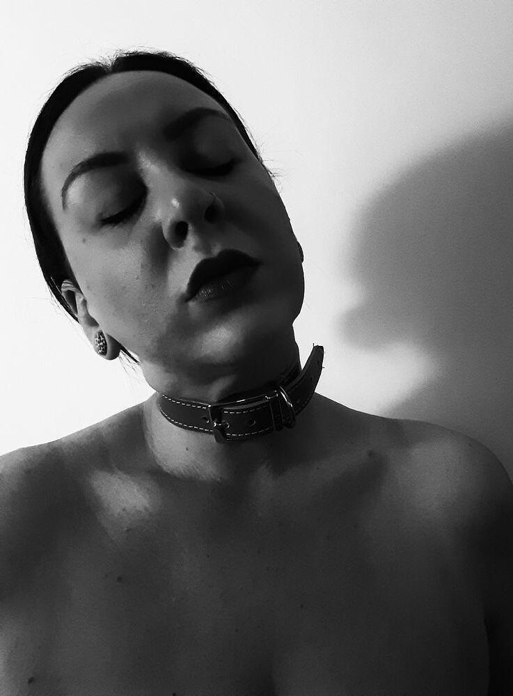 Collared sluts 