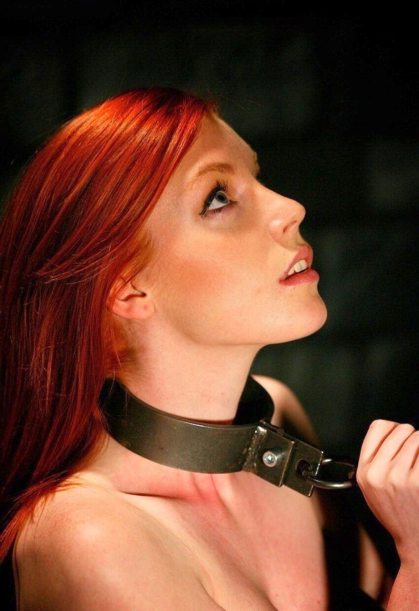 Collared sluts