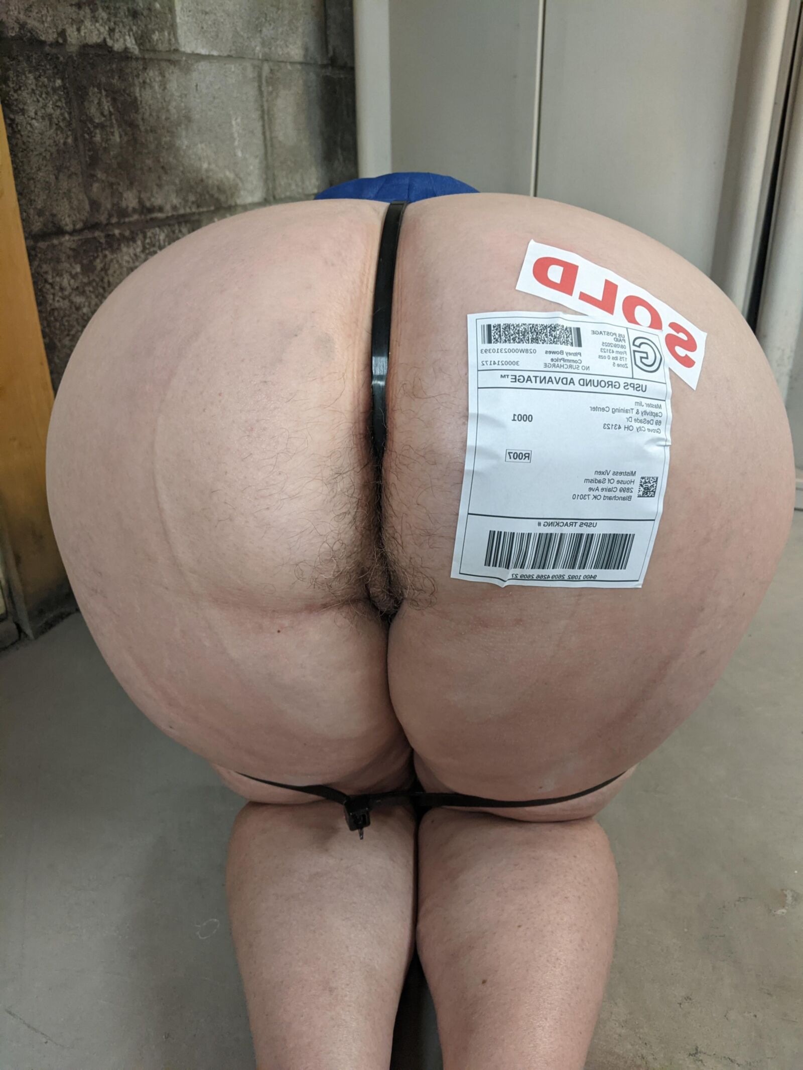 Slut Bound, Gagged, Caged, and Transported