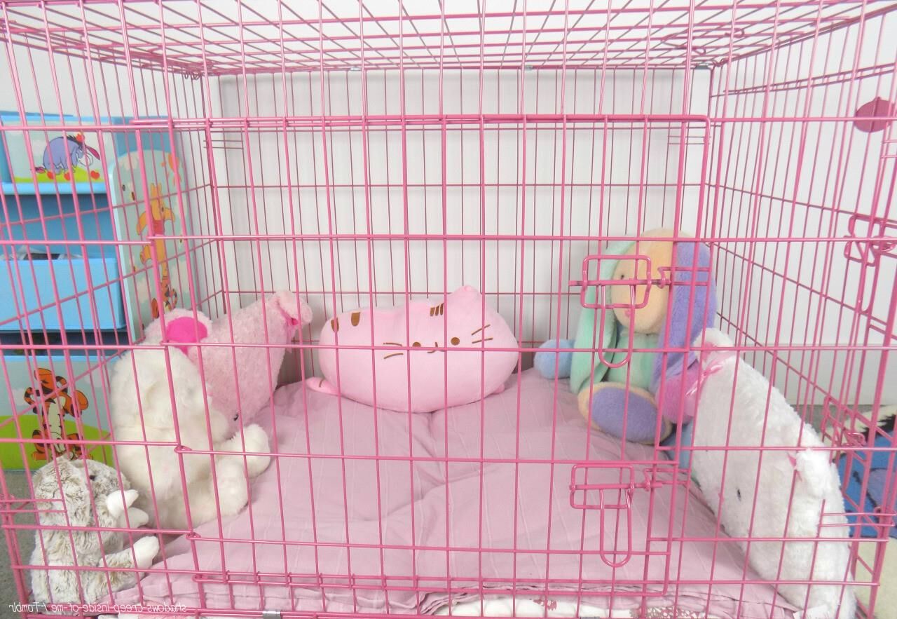 Petplay Inspiration